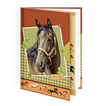 Detské pamätníky a bloky