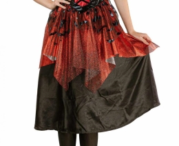 Costume / Gothic Vampire Set for Adults (dress, collar), size M (1)