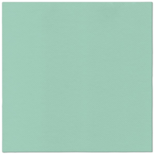 Obrúsky PAW AIRLAID 40x40 cm Monocolor (mint)