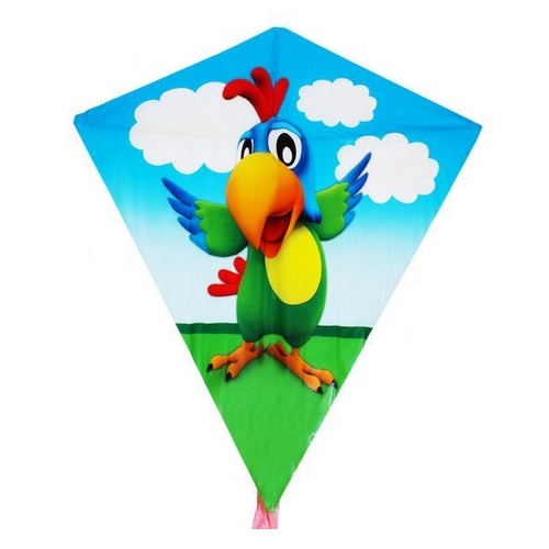 Parrot - Parrot Wiktor 68 x 73 cm