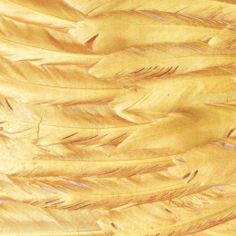 Krídla anjela, zlaté (3)