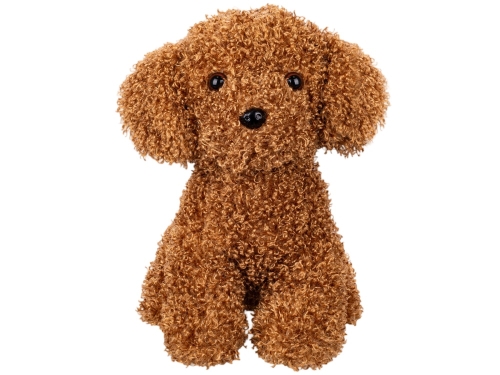 30cm plush sitting curly dog 0m+ in PB