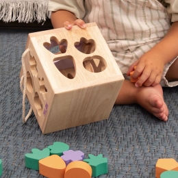 Rabbit' cube with pieces to fit, wooden educational toy (3)
