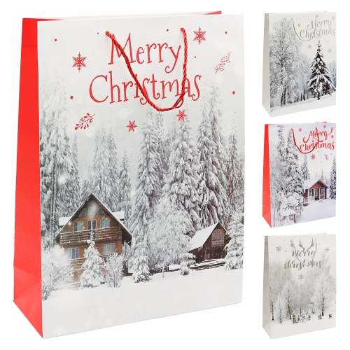 Christmas Gift Bag 2441 size L 30 x 12 x 42 cm (mix 4 designs)