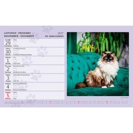 2027 Desk Calendar: Cats (1)