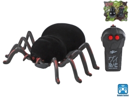 13cm BO R/C 2,4GHz spider on BC