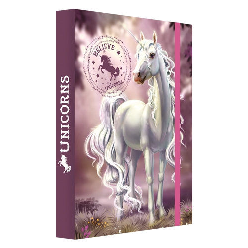 Box for notebooks A4 Jumbo Believe in Unicorns