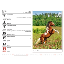 2027 MiniMax Horses Desk Calendar (1)