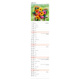 2027 Wall Calendar: Bouquets – Bundled Edition (1)