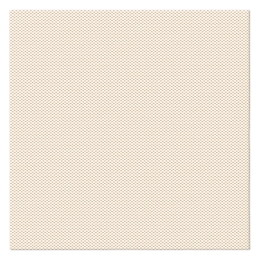 Obrúsky PAW AIRLAID 40x40 cm (50 ks) Fabric Design Cream