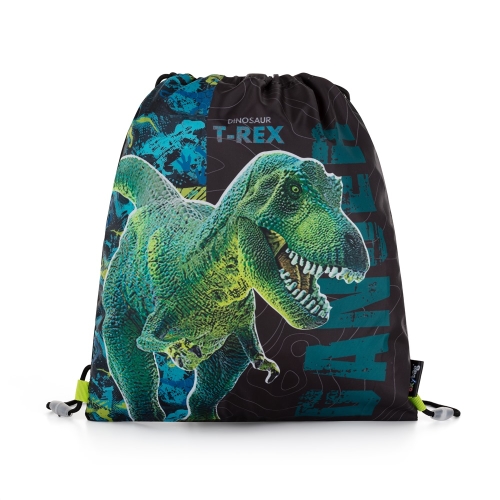 Premium Dinosaurus training bag