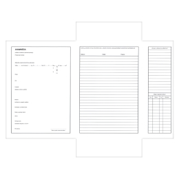 Health record (card) with side flap 282 (1)