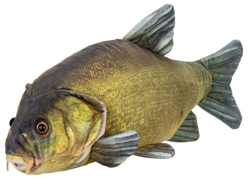 50cm plush tench 0m+ each in polybag