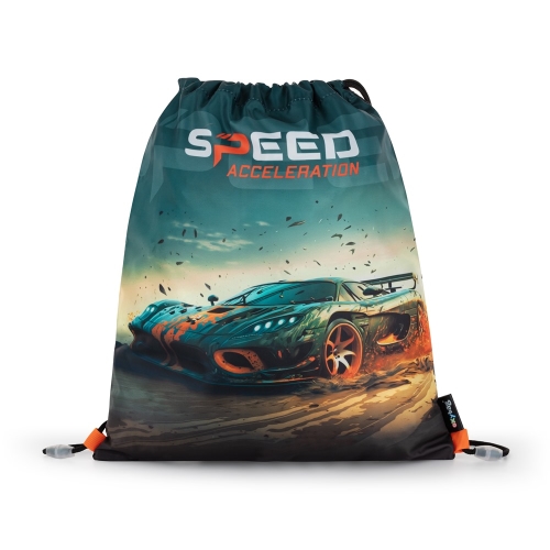 Car training bag