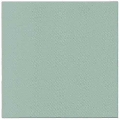 Obrúsky PAW AIRLAID 40x40 cm Monocolor Light Green