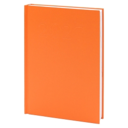 Diary A5 1 page/1 day 2027 - Standard orange Diary A5 1 page/1 day 2027 - Standard orange