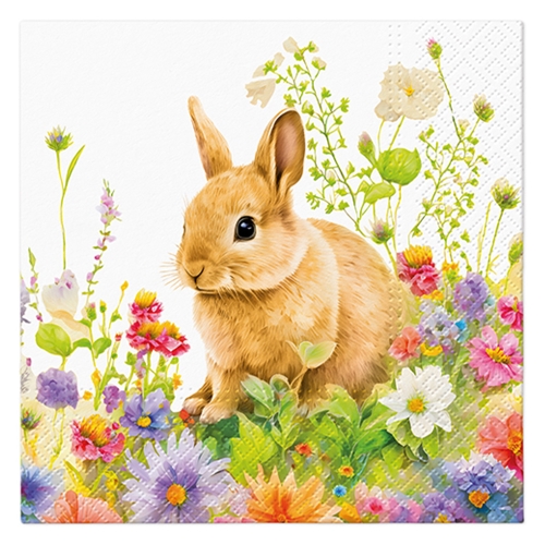 Obrúsky PAW L 33x33cm Spring Morning