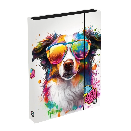 A4 Jumbo Dog notebook box
