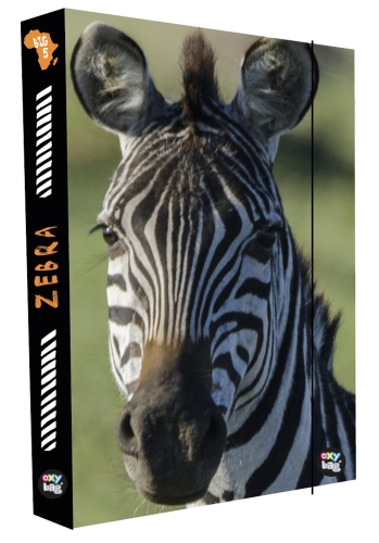 Box for A4 Zebra notebooks