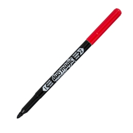 Markers CENTROPEN 2599 Duo Magic - set of 8+2 pcs (1)