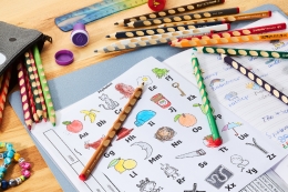 STABILO EASYcolors coloring pen for left-handed people - dark ocher (4)
