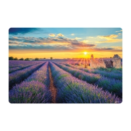 Desk Pad Enjoy 60x40cm, 5-Assorted
designs (1)