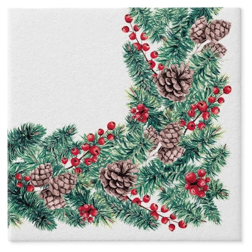 Obrúsky PAW AIRLAID 40x40 cm Winter Branches