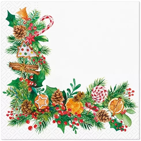 Obrúsky PAW L 33x33cm Orange-Scented Frame