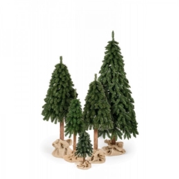 Christmas tree - Mountain spruce 150 cm (2)