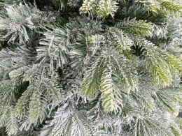 Christmas tree - Canadian pine, snow 210 cm