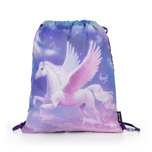 Pegas training bag