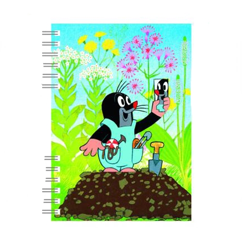 Notebook A6 Akim with spiral binding - Mole 3