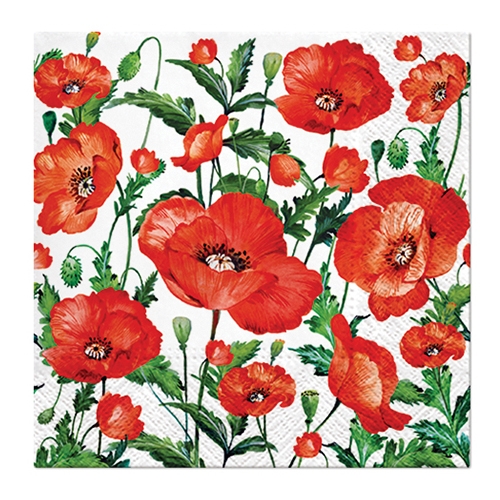 Obrúsky PAW L 33x33cm Flanders Poppy