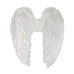 Angel wings with feathers 55 cm