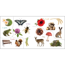 Sticker Book - Outside (big stickers for little hands) (2)