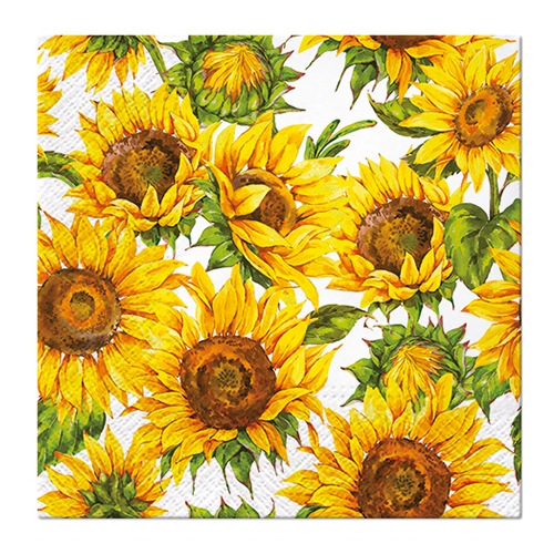 Obrúsky PAW R 32 cm Dancing Sunflowers