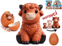 6cm egg w/growing highlander cow in WBX 12pcs in DBX 6cm egg w/growing highlander cow in WBX 12pcs in DBX