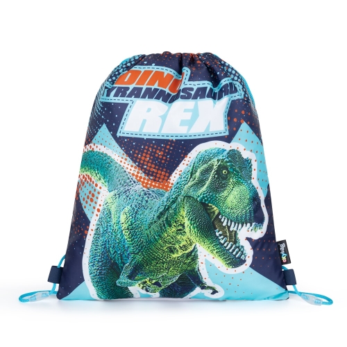 Premium Dinosaur shoe bag