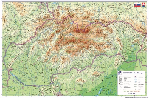 Table mat 60x40cm Slovakia