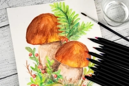 CENTROPEN 9523/12+1 Watercolor Pencils + Brush, Round, Lead Diameter 3.3 mm (2)