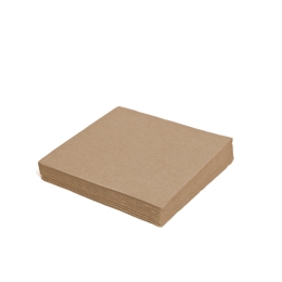Napkin (PAP FSC Mix) 2-layer natural brown 24 x 24 cm [250 pcs]