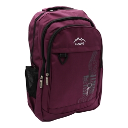 Student Backpack 6632 with Lining (Assorted Colors / Price per piece) (1)