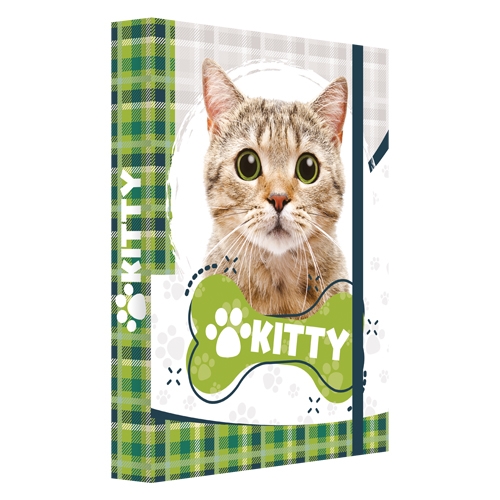 Box for notebooks A4 Jumbo Kitty