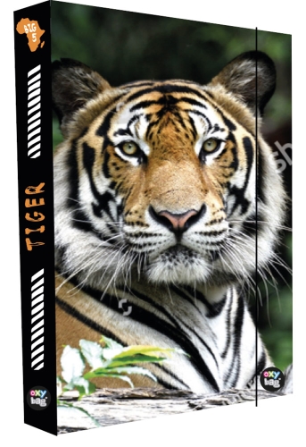 Box for notebooks A4 Jumbo Tiger