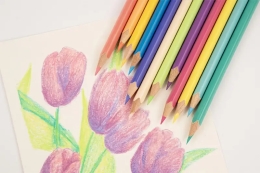 CENTROPEN 9524/12 Triangular Pastel Crayons (2)