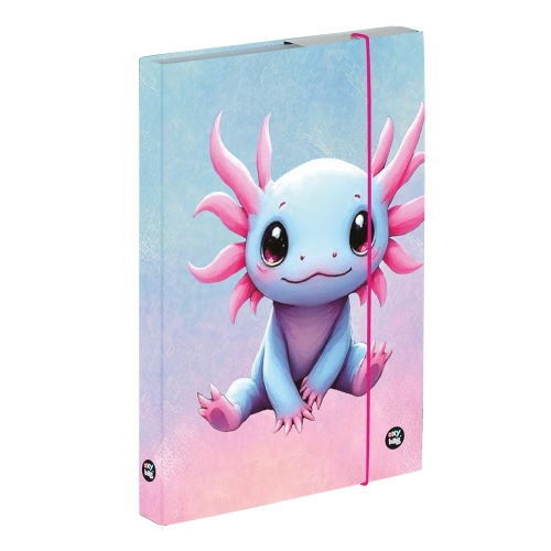 A4 notebook box - Axolotl