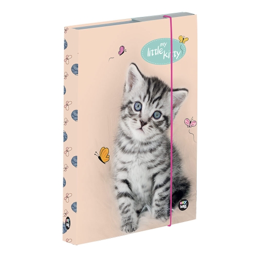 Notebook box A5 Cat