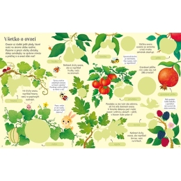 Sticker book JM Fruit and vegetables (1)